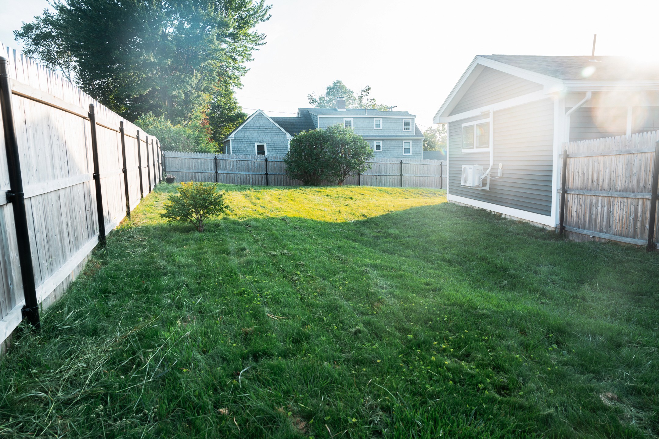 Lush green fertilized lawn